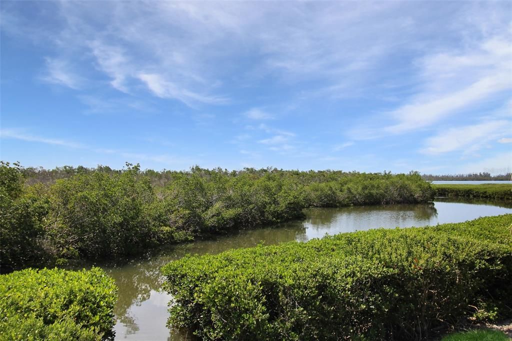 В аренду: $6,000 (2 спален, 2 ванн, 1069 Квадратных фут)