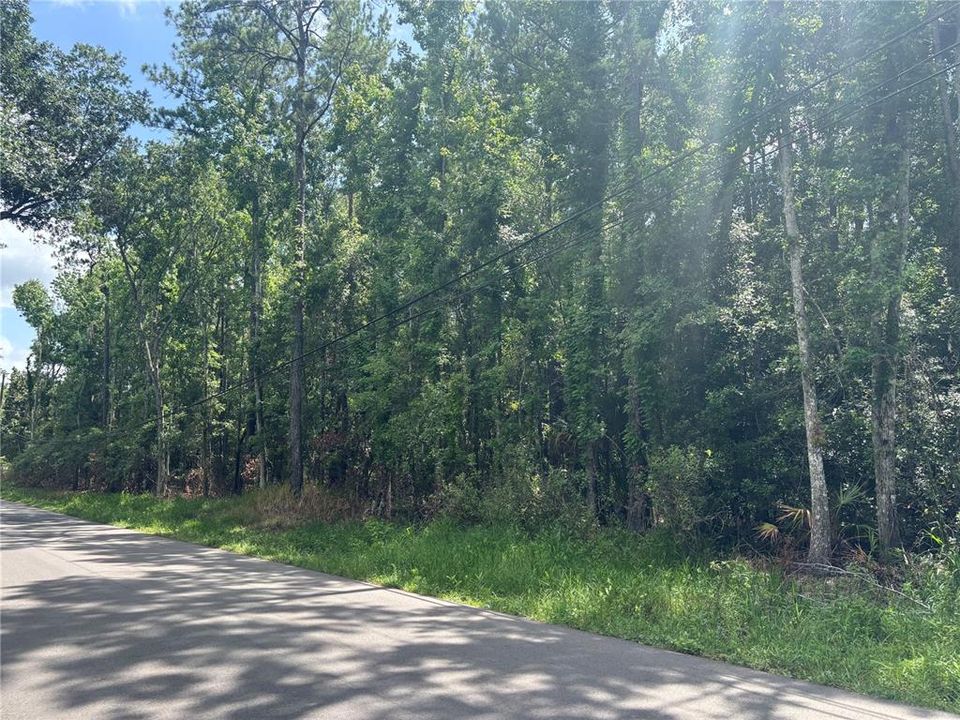 待售: $123,000 (3.70 acres)