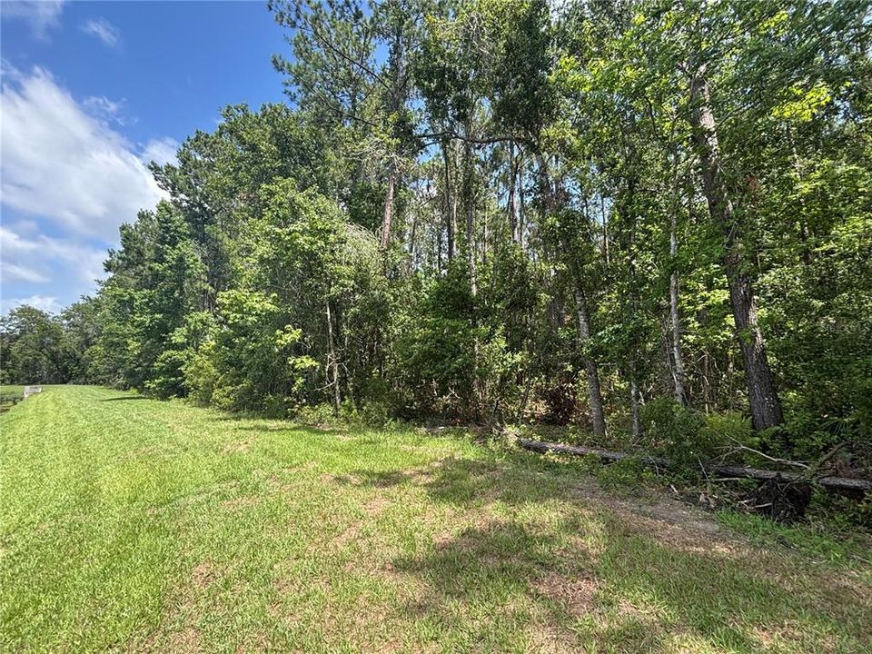 待售: $123,000 (3.70 acres)