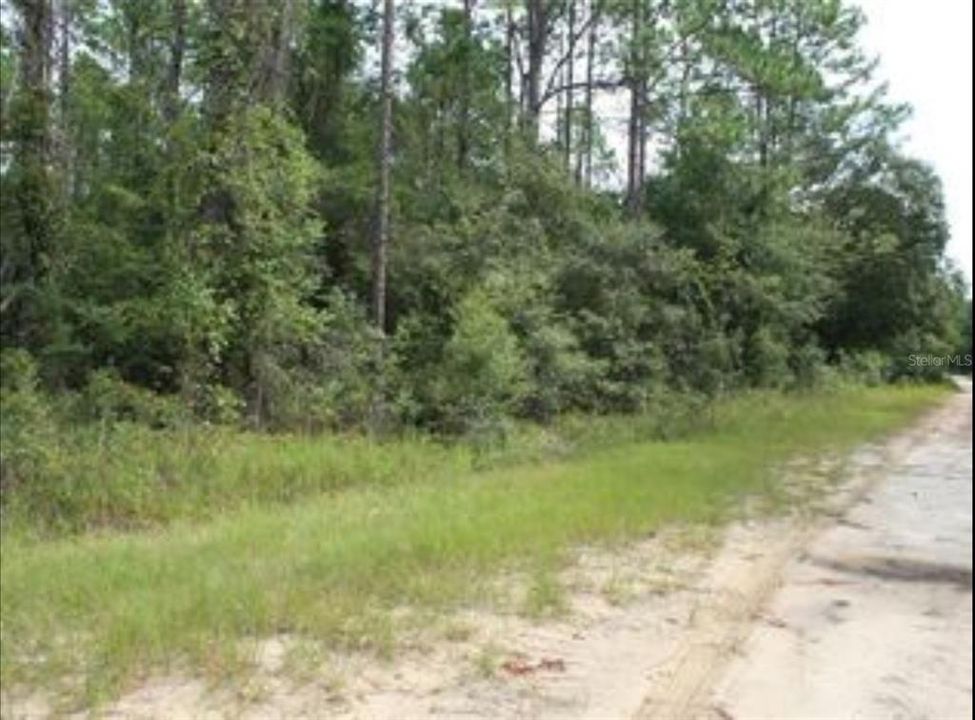 Недавно продано: $38,000 (2.50 acres)