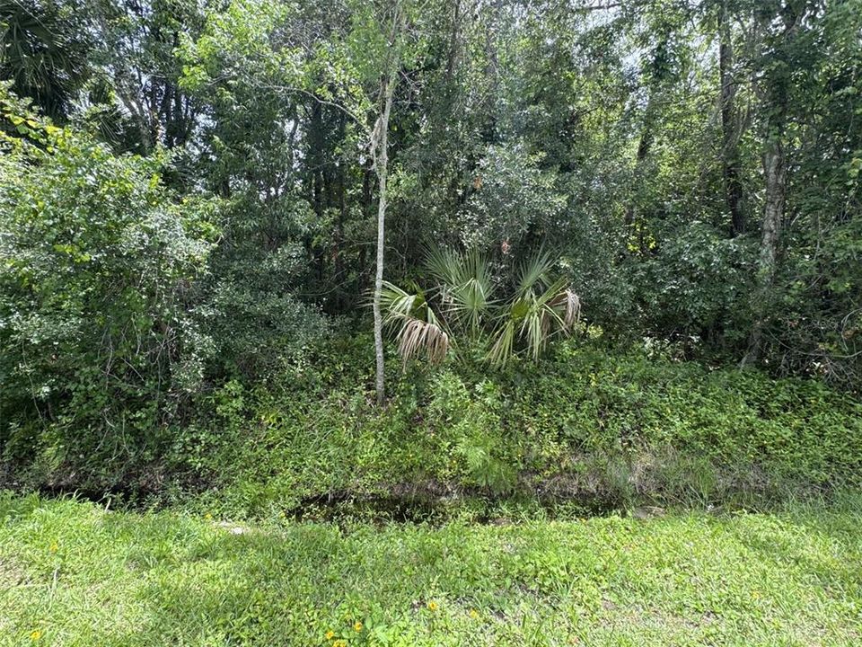 待售: $95,000 (1.20 acres)