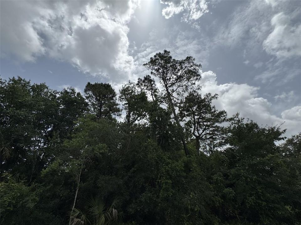 待售: $95,000 (1.20 acres)