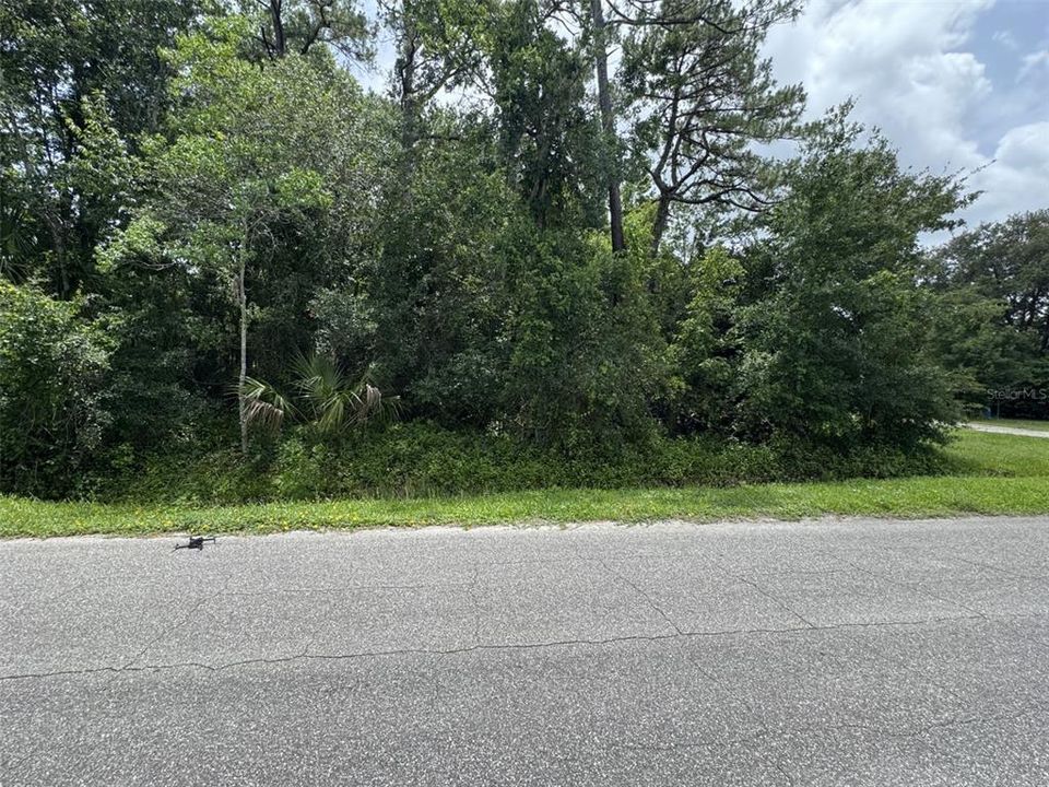 待售: $95,000 (1.20 acres)