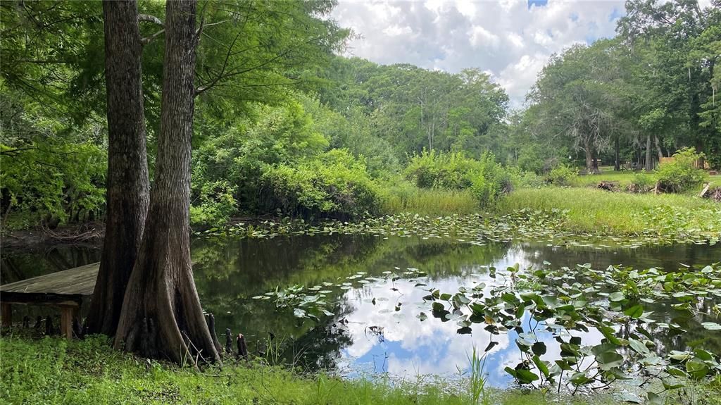 最近售出: $65,000 (1 贝兹, 1 浴室, 500 平方英尺)