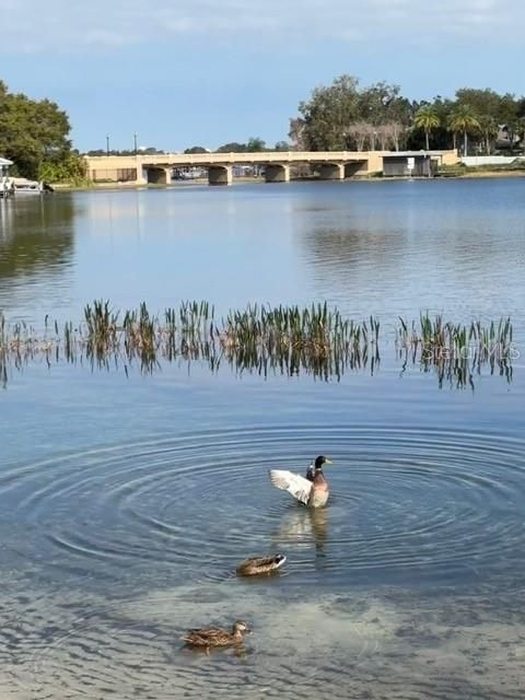 For Sale: $1,595,000 (4 beds, 3 baths, 2498 Square Feet)