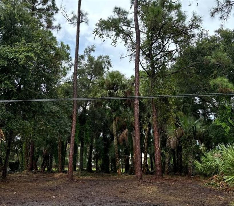 For Sale: $38,000 (0.23 acres)