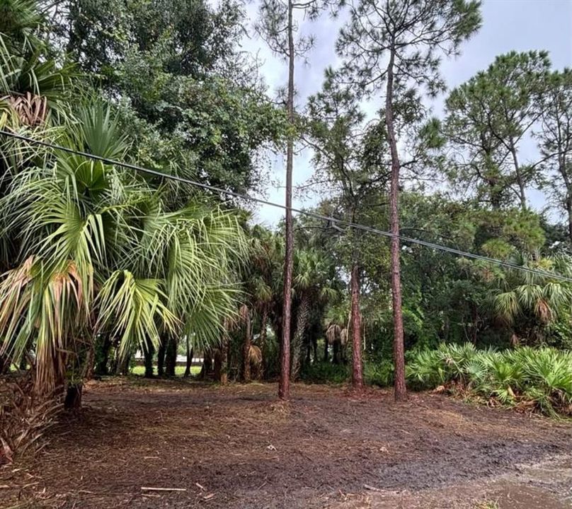 For Sale: $38,000 (0.23 acres)