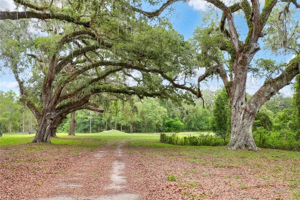 待售: $399,900 (13.41 acres)