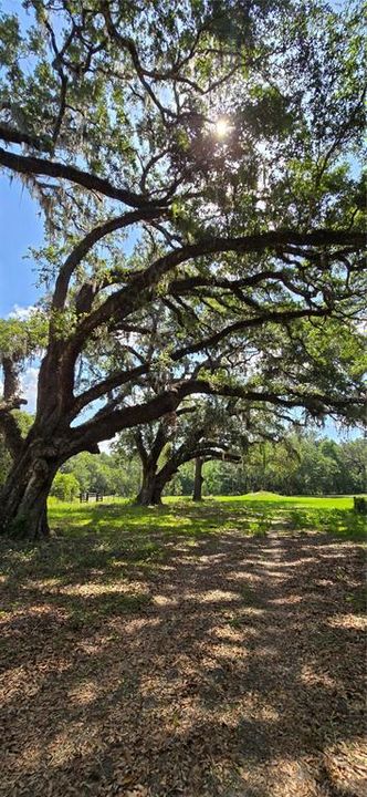 待售: $399,900 (13.41 acres)