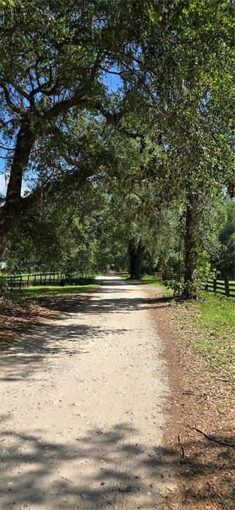 待售: $399,900 (13.41 acres)