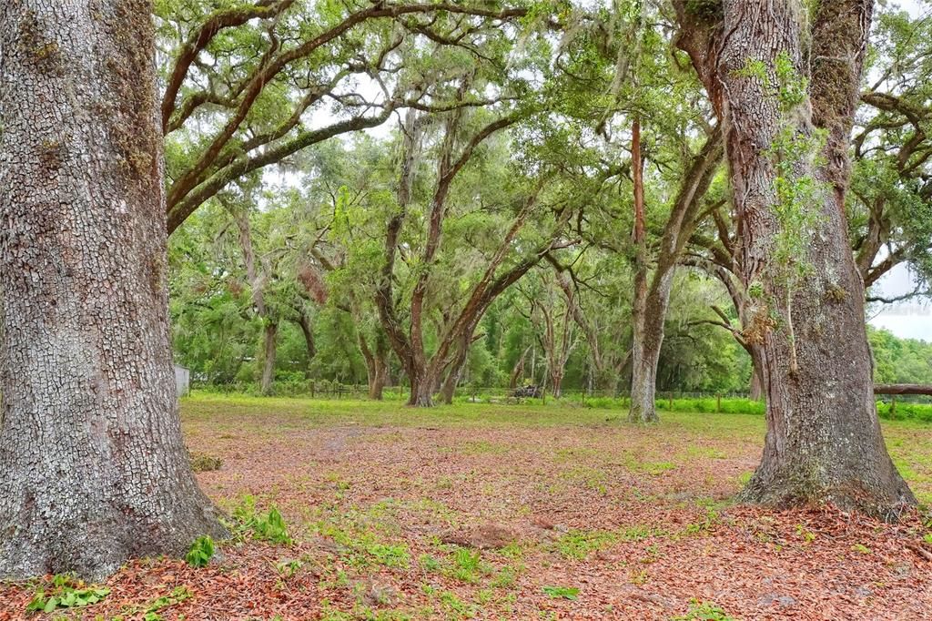 待售: $399,900 (13.41 acres)