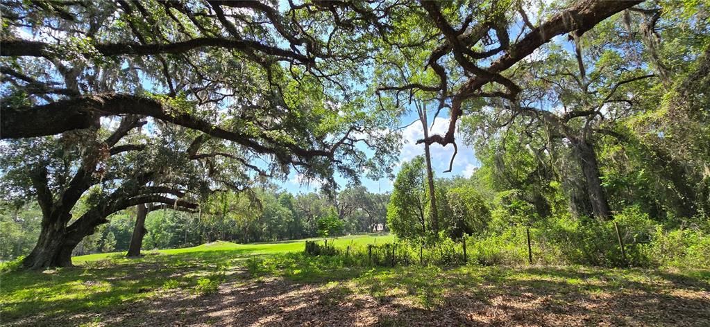 待售: $399,900 (13.41 acres)