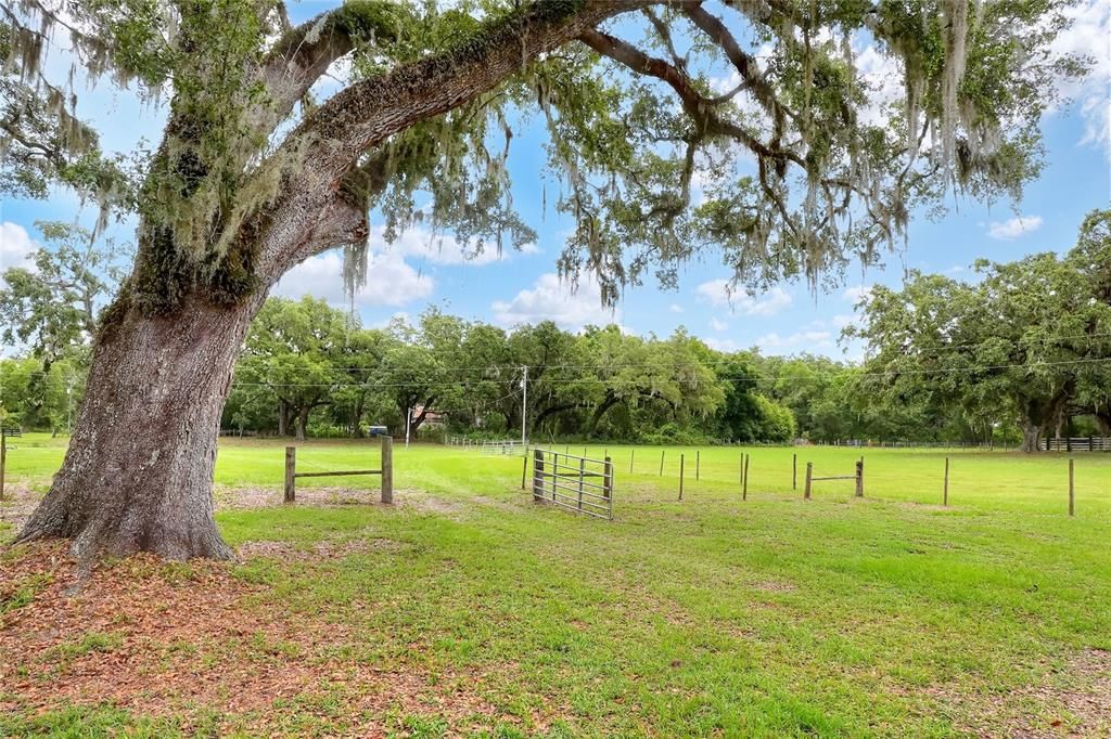 待售: $399,900 (13.41 acres)