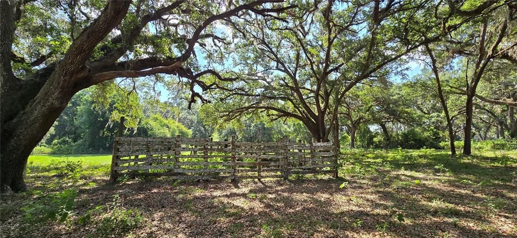 待售: $399,900 (13.41 acres)