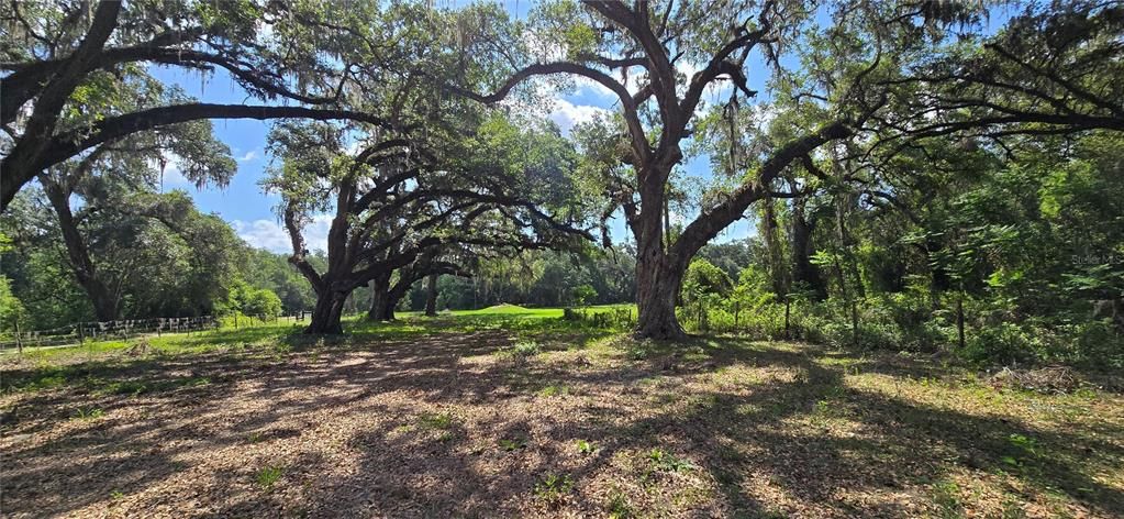 待售: $399,900 (13.41 acres)