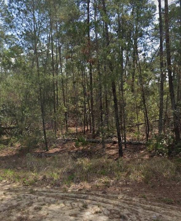 На продажу: $32,500 (0.28 acres)