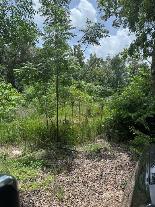 Vendido Recientemente: $15,000 (0.31 acres)