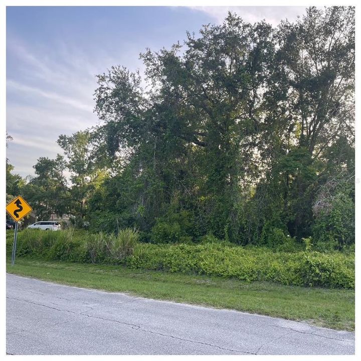 En Venta: $70,000 (0.17 acres)