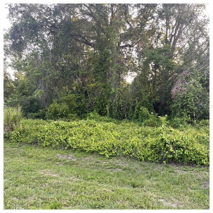 En Venta: $70,000 (0.17 acres)