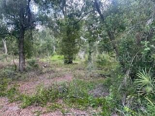 待售: $22,000 (0.61 acres)