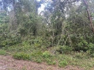 待售: $22,000 (0.61 acres)