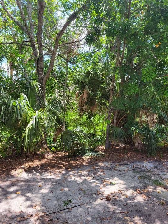 合同活跃: $180,000 (1 贝兹, 1 浴室, 582 平方英尺)