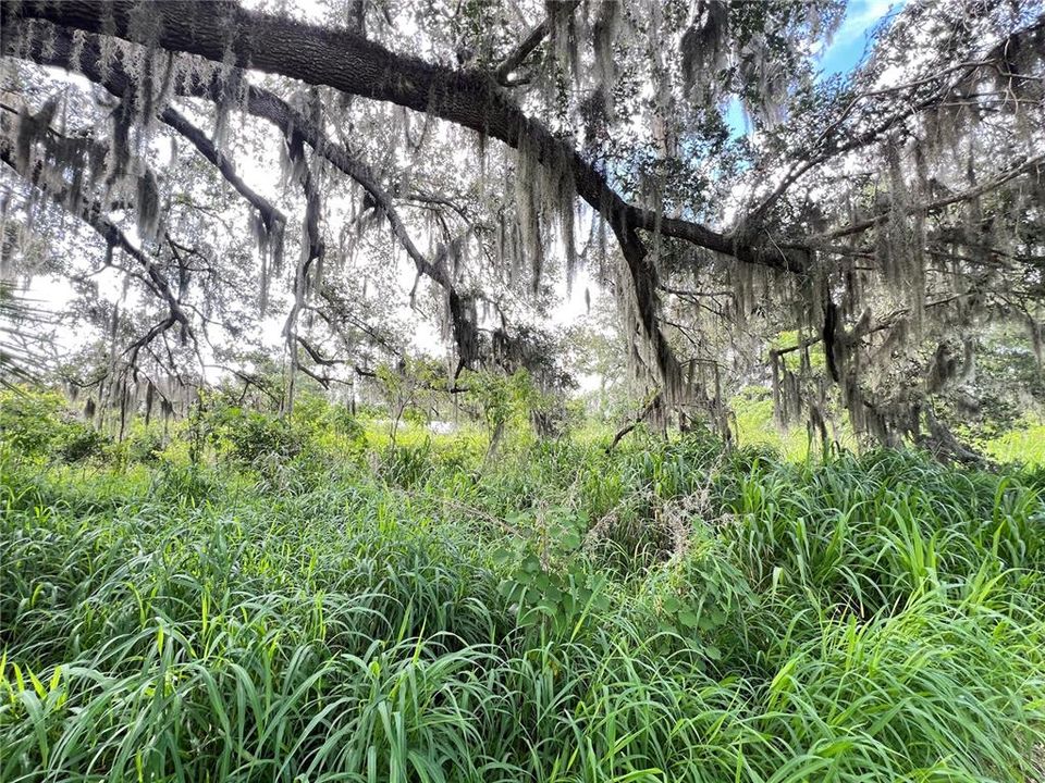 合同活跃: $30,000 (0.63 acres)