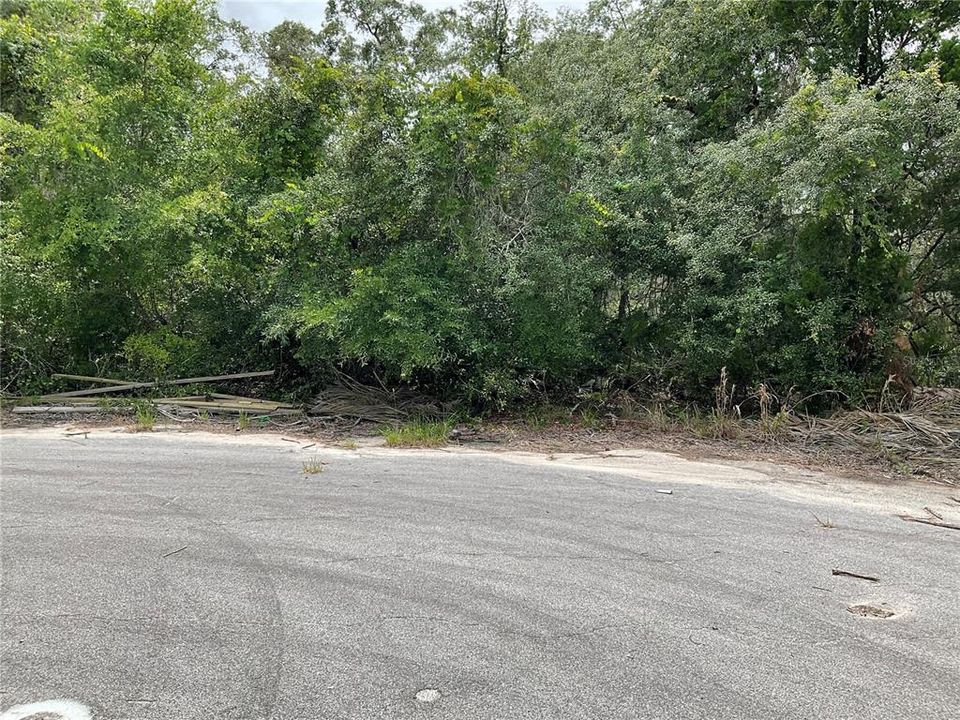 最近售出: $65,000 (0.66 acres)