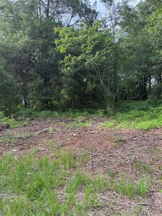 Recently Sold: $17,999 (0.25 acres)