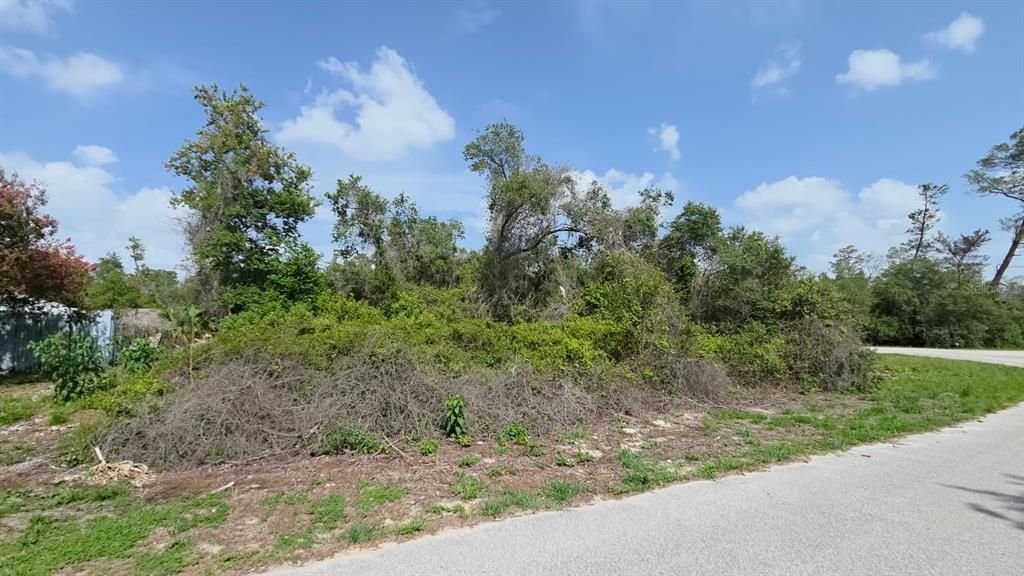 Active With Contract: $41,800 (0.29 acres)