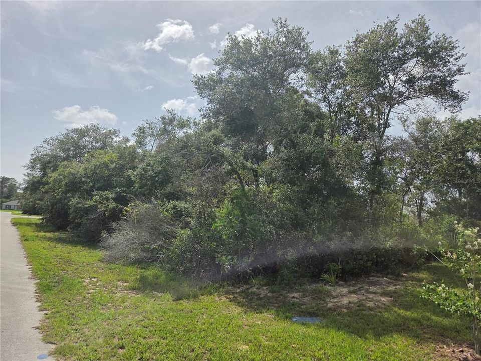 Active With Contract: $41,800 (0.29 acres)