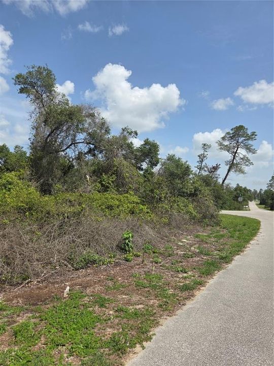 Active With Contract: $41,800 (0.29 acres)