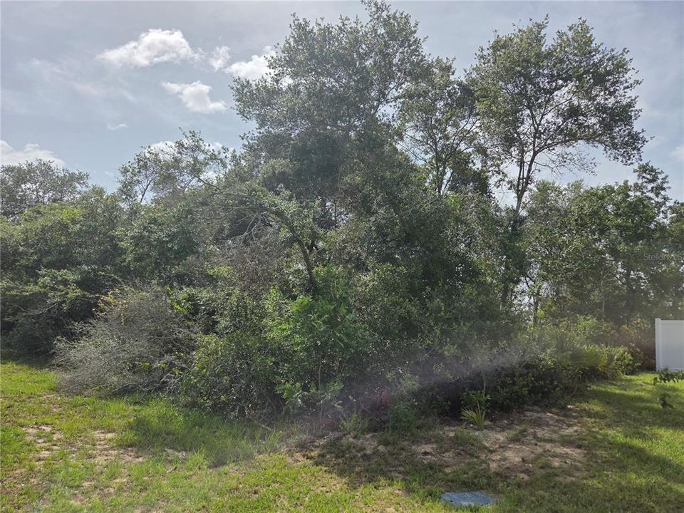 Active With Contract: $41,800 (0.29 acres)
