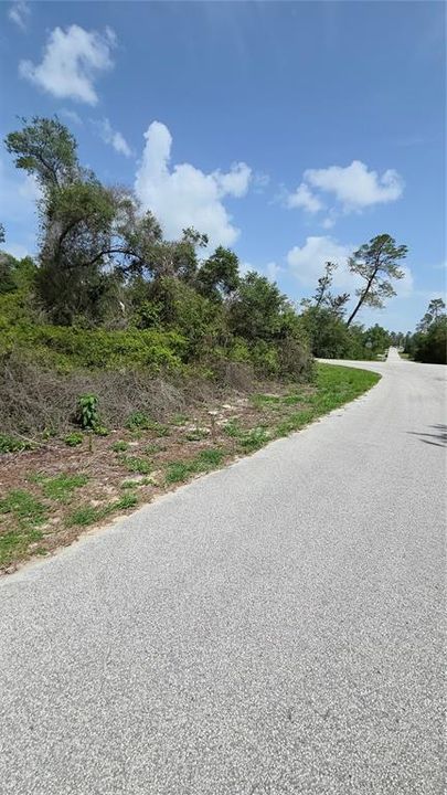 Active With Contract: $41,800 (0.29 acres)