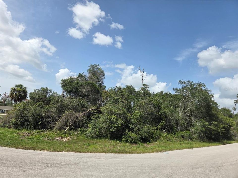 Active With Contract: $41,800 (0.29 acres)