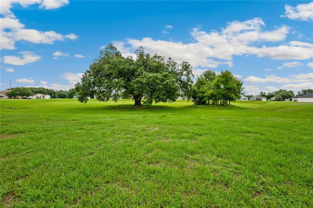 На продажу: $305,000 (3 спален, 2 ванн, 1299 Квадратных фут)