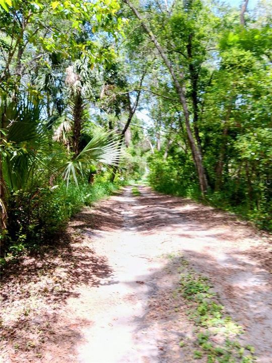 На продажу: $740,000 (6 спален, 5 ванн, 5083 Квадратных фут)