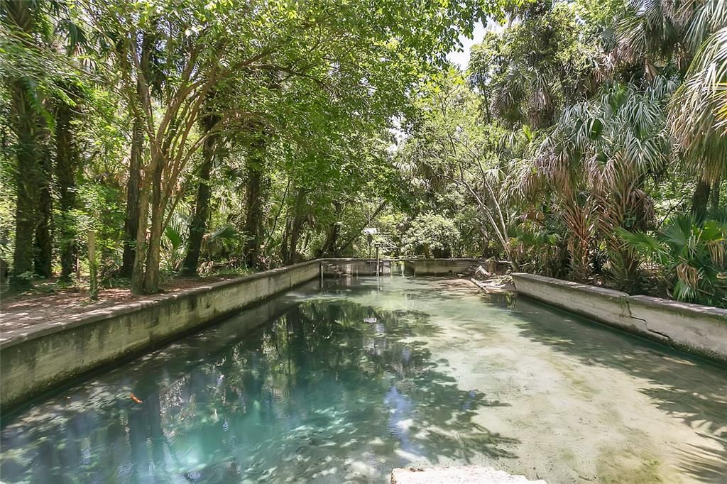 Под контрактом: $155,000 (1 спален, 1 ванн, 963 Квадратных фут)