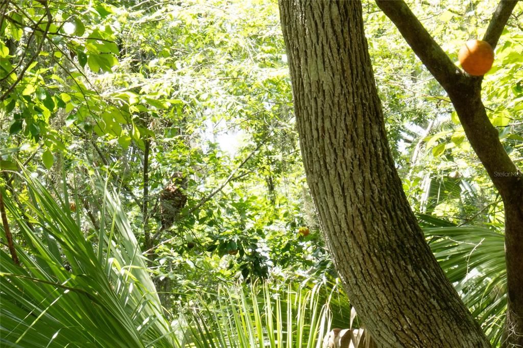 На продажу: $359,900 (3 спален, 2 ванн, 1352 Квадратных фут)