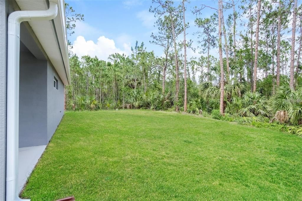 出租: $2,000 (4 贝兹, 2 浴室, 1821 平方英尺)