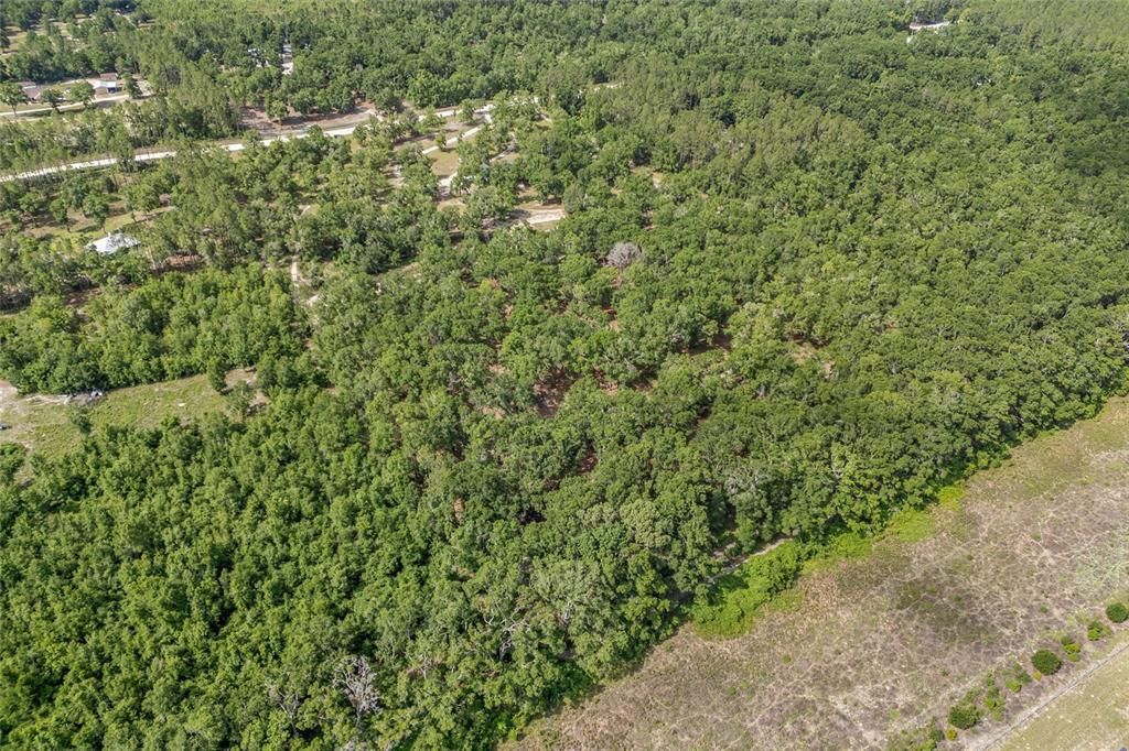 For Sale: $799,000 (4 beds, 3 baths, 3662 Square Feet)