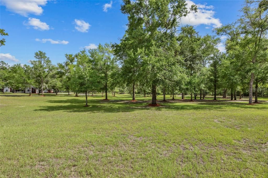 For Sale: $799,000 (4 beds, 3 baths, 3662 Square Feet)