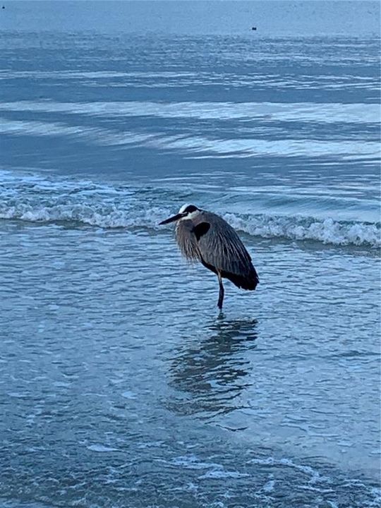 На продажу: $299,900 (1 спален, 2 ванн, 1050 Квадратных фут)