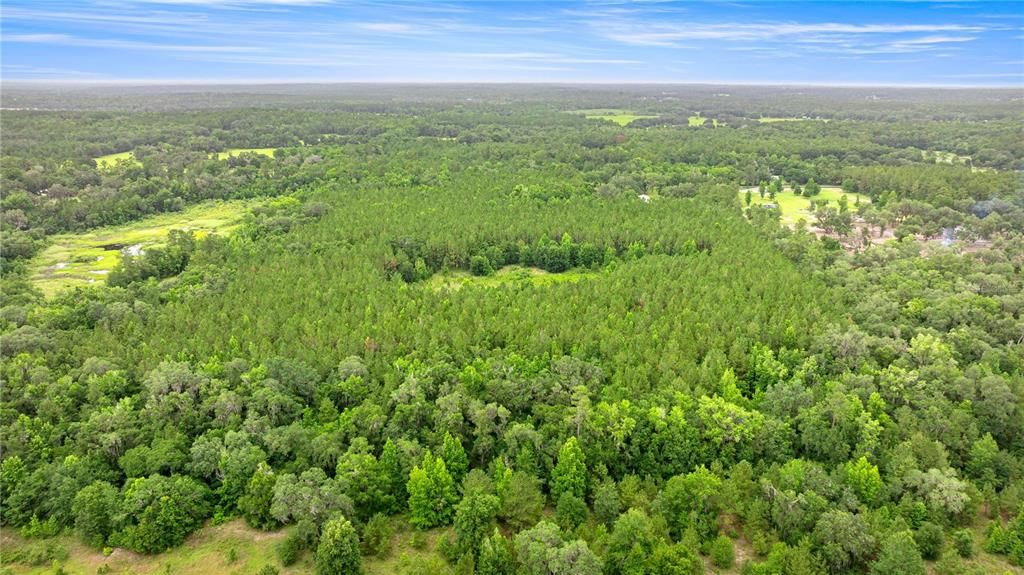 Active With Contract: $495,000 (55.00 acres)