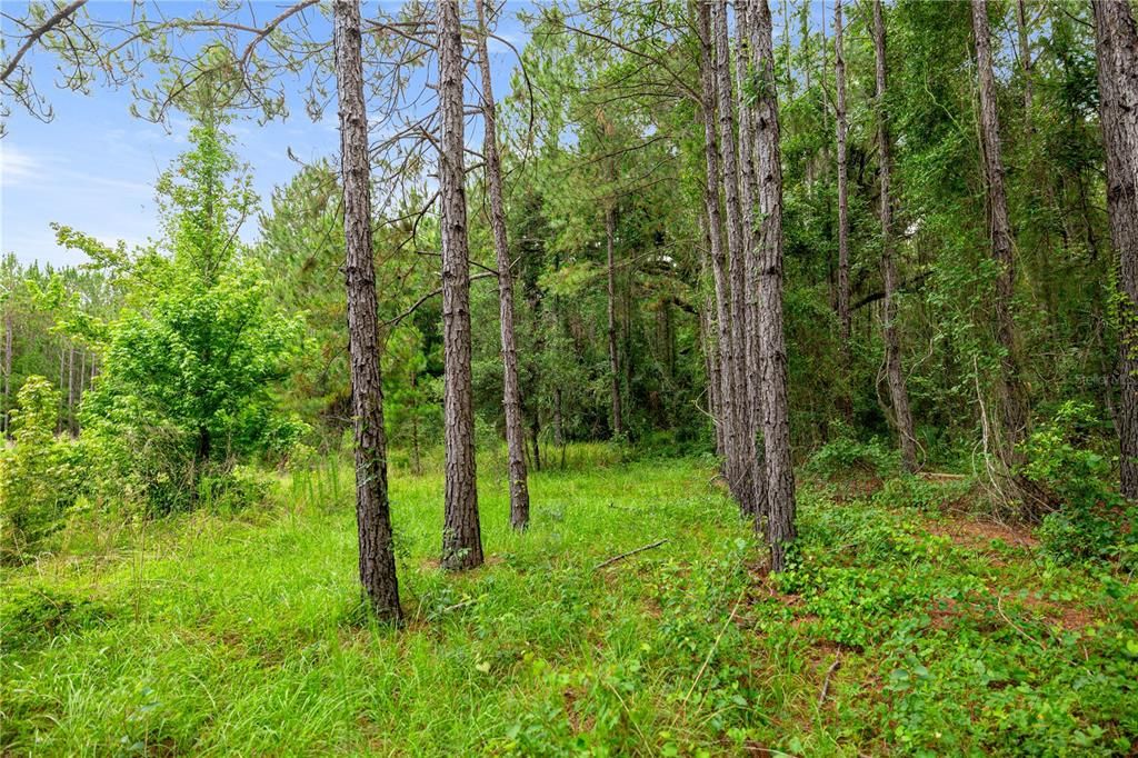 Active With Contract: $495,000 (55.00 acres)