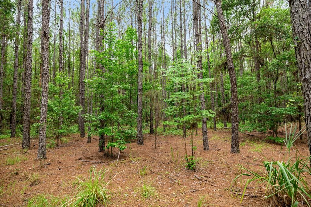 Active With Contract: $495,000 (55.00 acres)