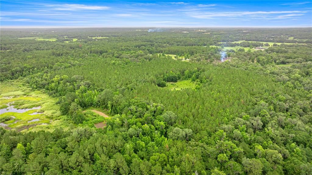 Active With Contract: $495,000 (55.00 acres)