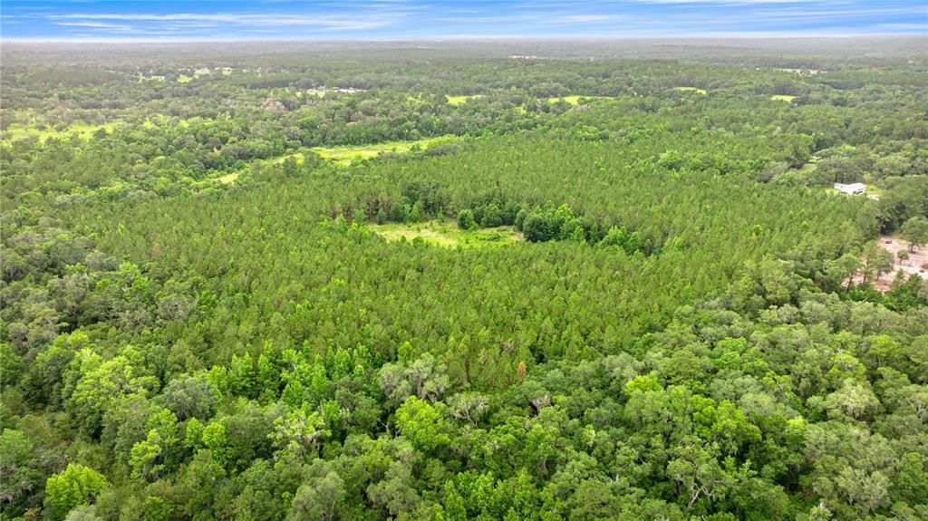 Active With Contract: $495,000 (55.00 acres)