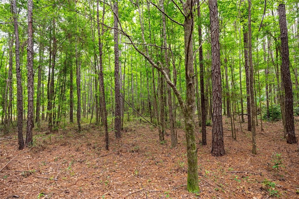 Active With Contract: $495,000 (55.00 acres)