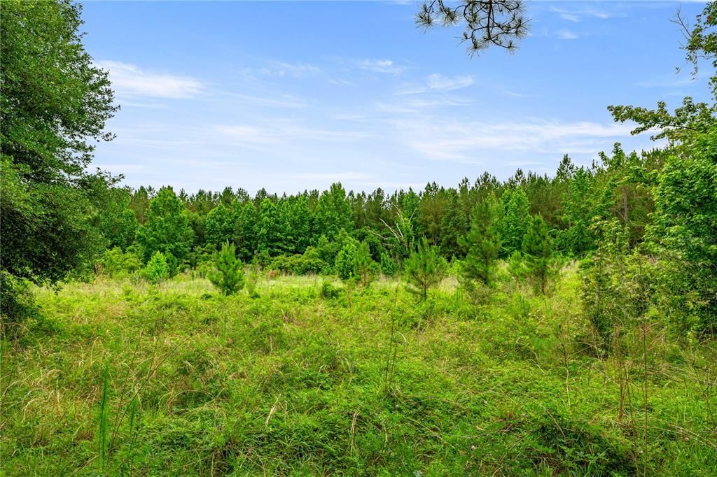 Active With Contract: $495,000 (55.00 acres)